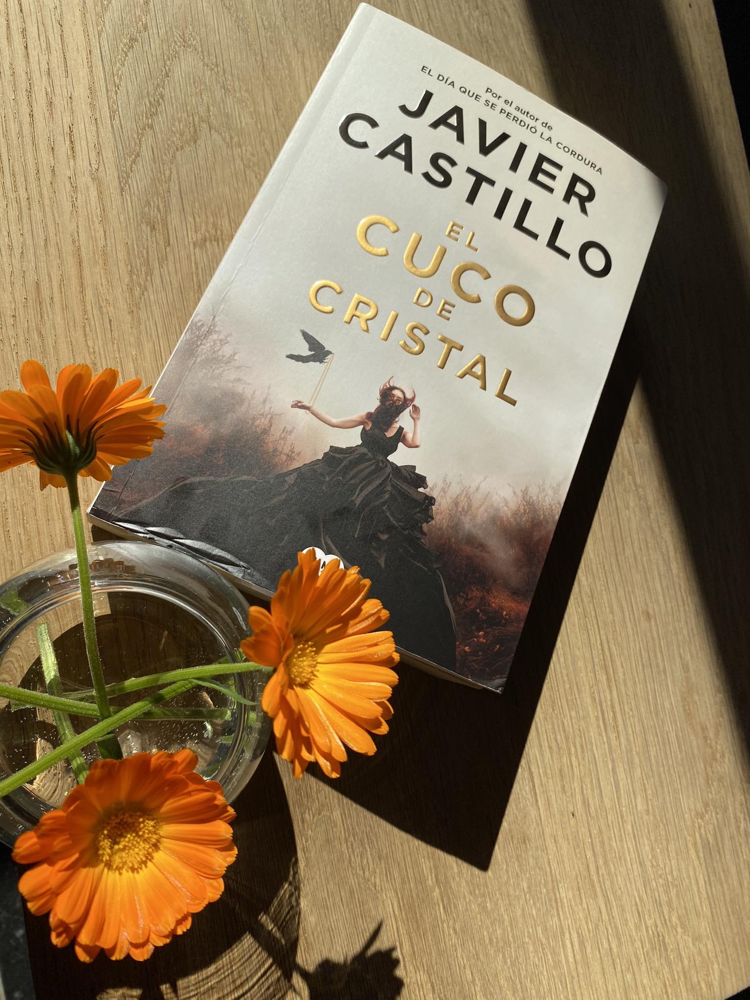 El cuco de cristal van Javier Castillo El cuco de cristal van Javier Castillo